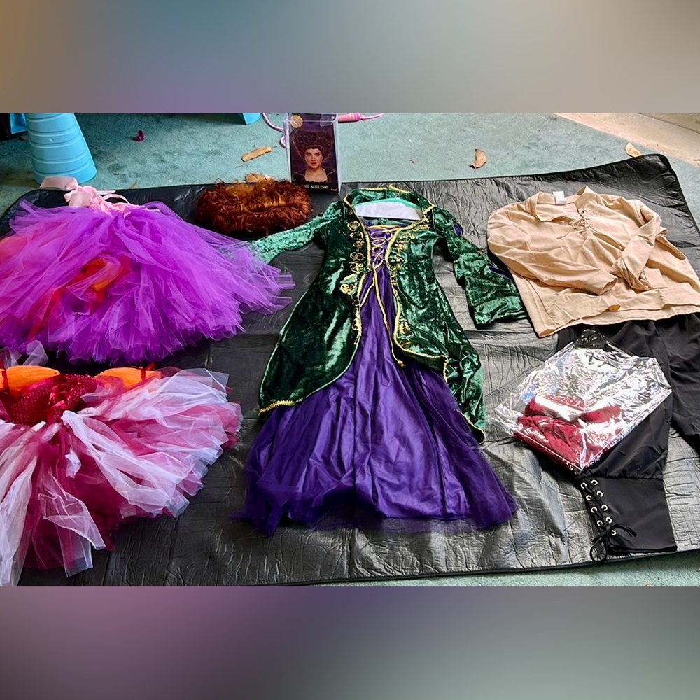 Hocus Pocus Family Costume